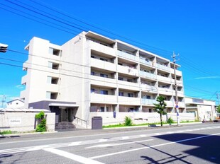 静岡駅 バス12分  静岡新聞社前下車：停歩7分 5階の物件外観写真